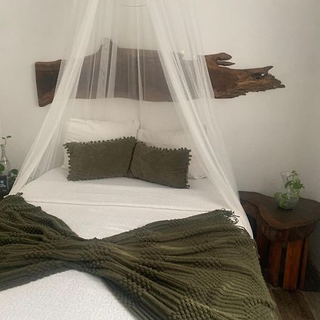 Casa Borush By Ecoplaneta Hotel Cancun Exterior photo