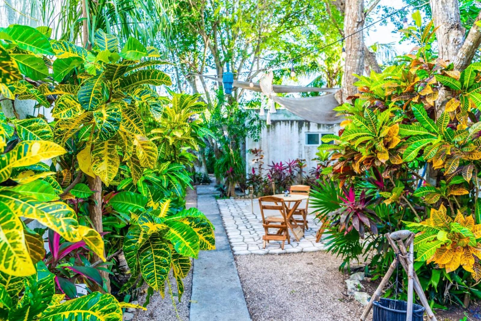 Casa Borush By Ecoplaneta Hotel Cancun Exterior photo