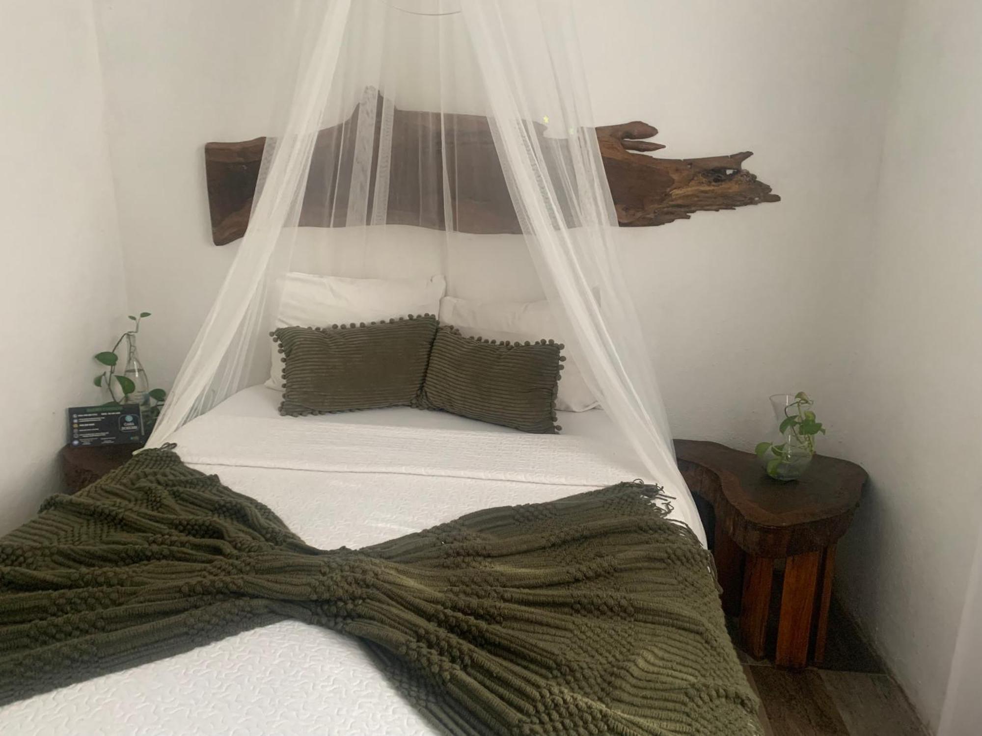 Casa Borush By Ecoplaneta Hotel Cancun Exterior photo